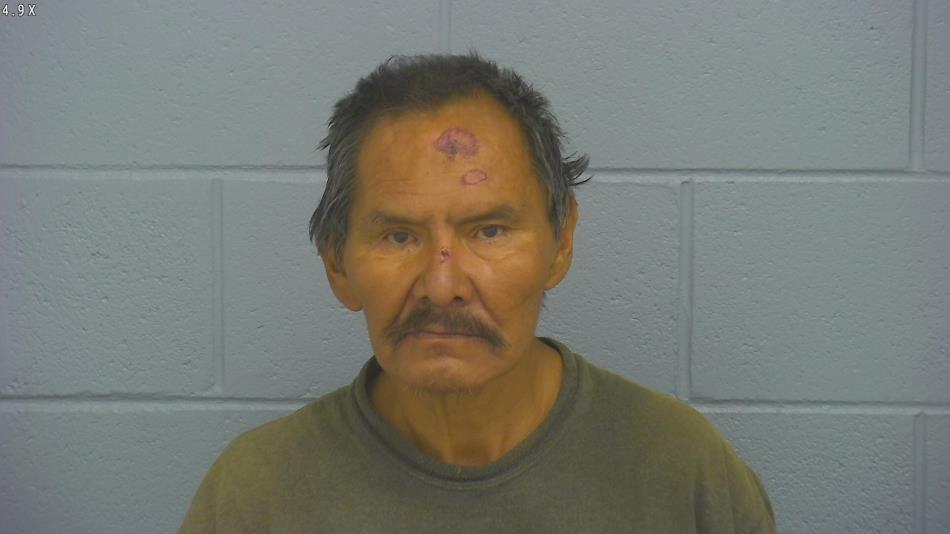 Arrest photo of DARRELL THINN