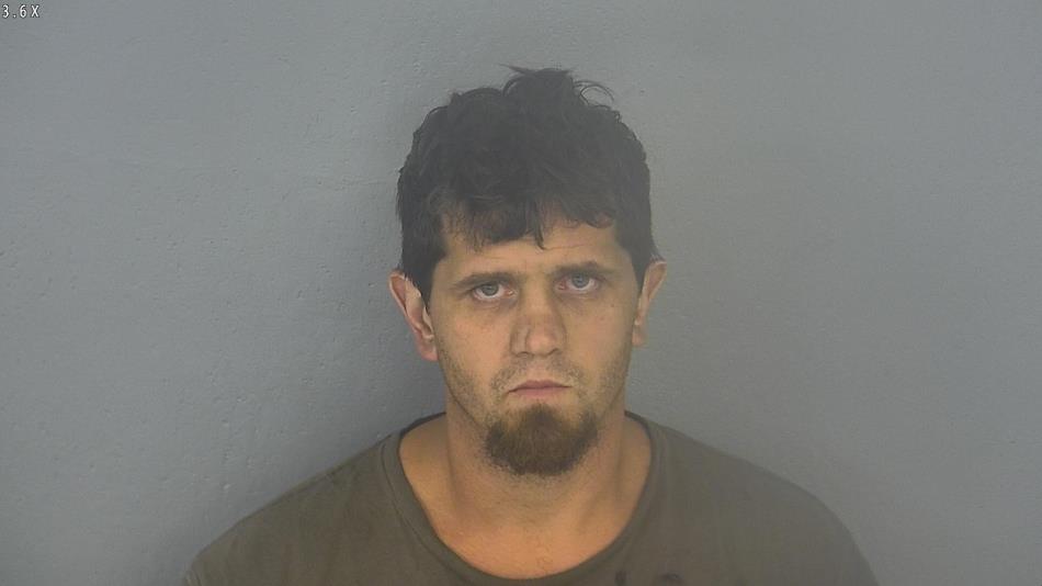 Arrest photo of DARREN PHELAN