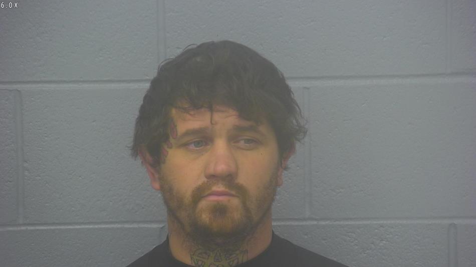 Arrest photo of DARREN PHELAN