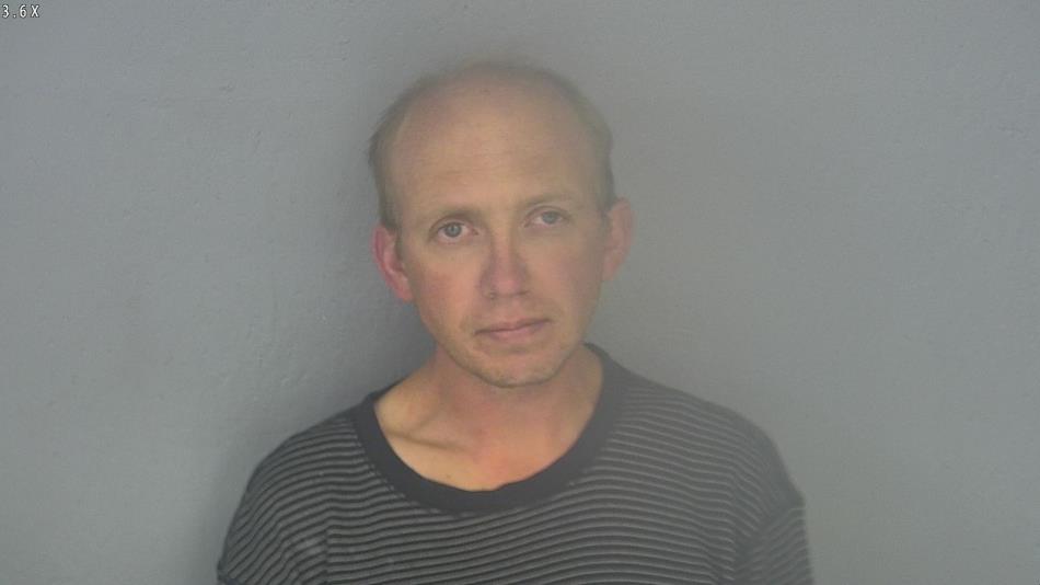 Arrest photo of DARWIN PALMER