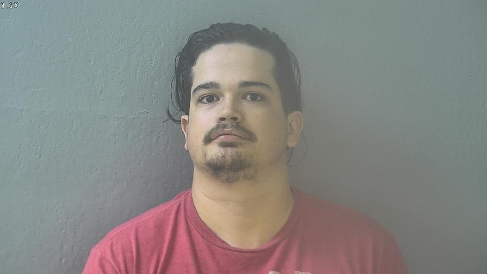 Arrest photo of DAVID TETLOW