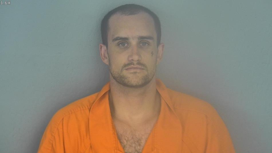 Arrest photo of DAVID DAVIS