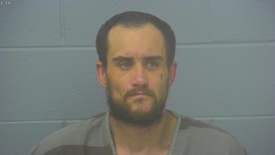 Arrest Photo of DAVID DAVIS, arrested on 3/20/2024