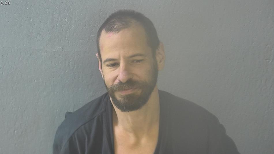 Arrest photo of DAVID DODSON