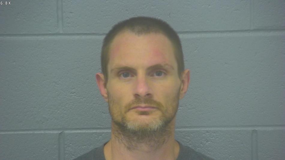 Arrest photo of DAVID MITCHELL