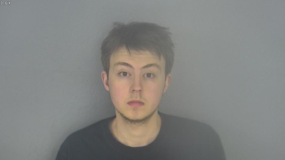 Arrest photo of DAVID WILSON