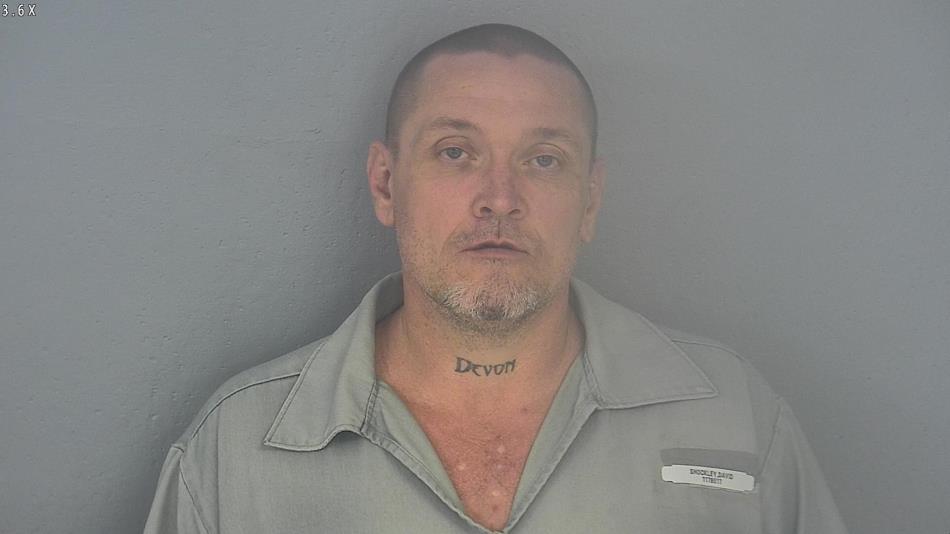 Arrest photo of DAVID SHOCKLEY