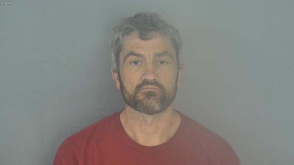 Arrest photo of DAVID ERICKSON