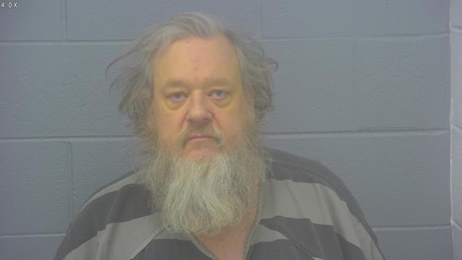 Arrest photo of DAVID LOVISKA