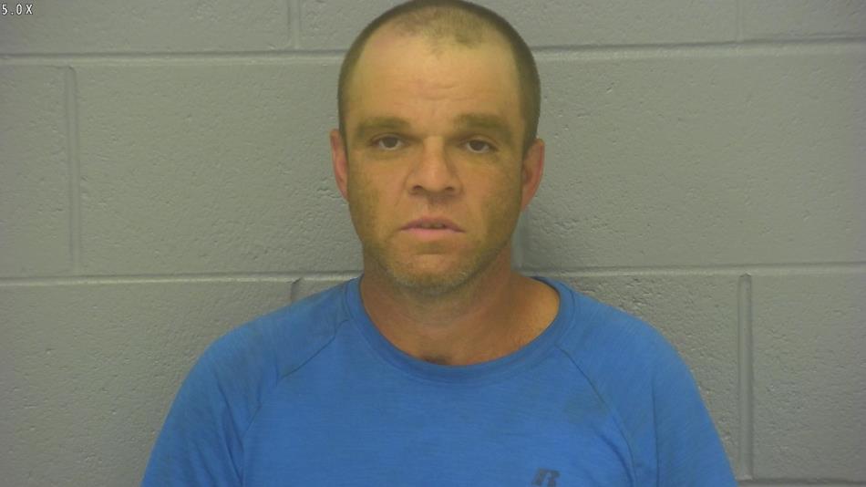 Arrest photo of DAVID JOHNSON