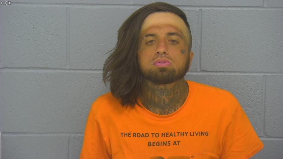 Arrest photo of DAVID LOFTUS