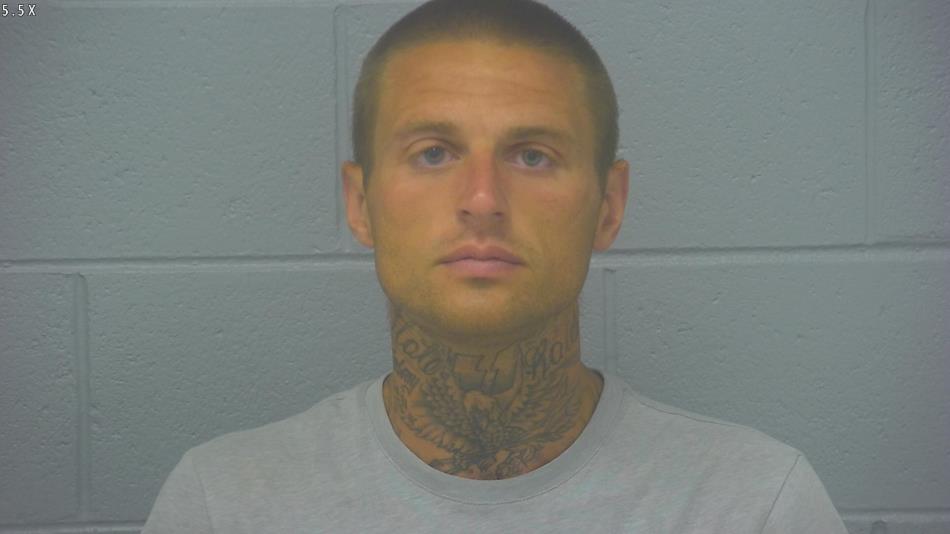 Arrest photo of DAVID BASHAM