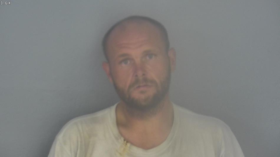 Arrest photo of DAVID DICKERSON