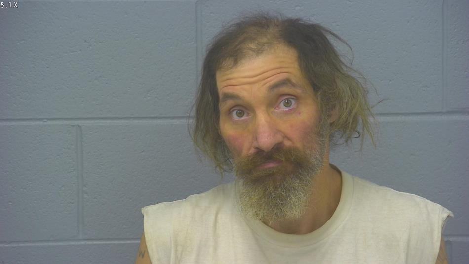 Arrest photo of DAVID MARTIN