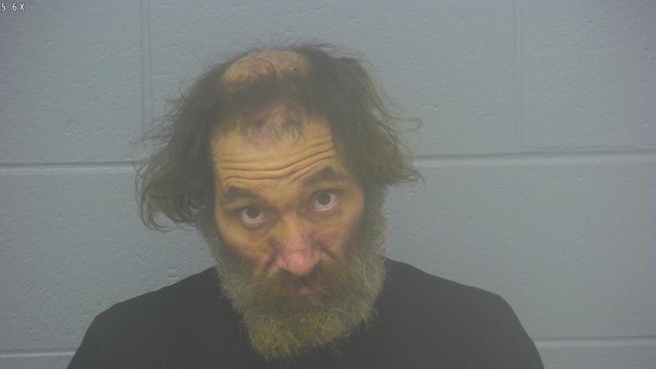 Arrest photo of DAVID MARTIN