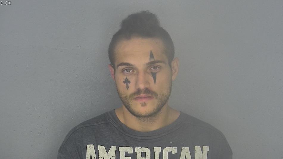 Arrest photo of DAVID WINCHEL