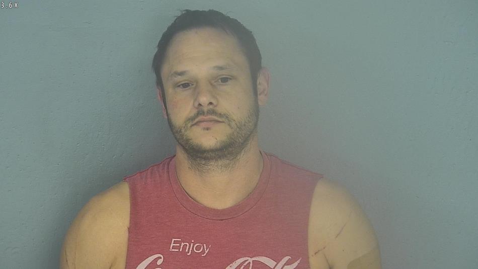 Arrest photo of DAVID GIBSON