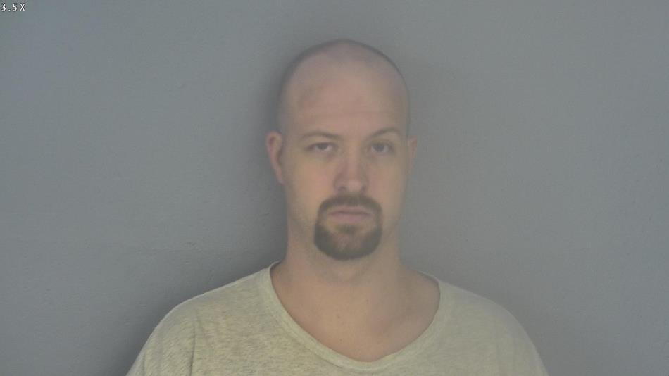 Arrest photo of DAVID METTY