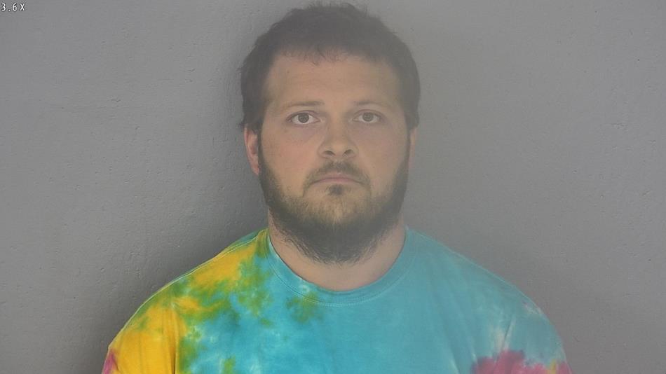 Arrest photo of DAVID LEE