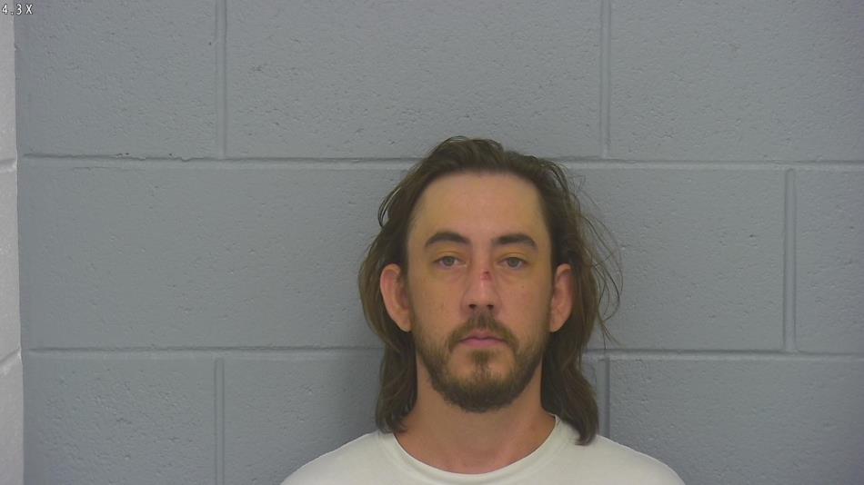 Arrest photo of DAVID MONTGOMERY