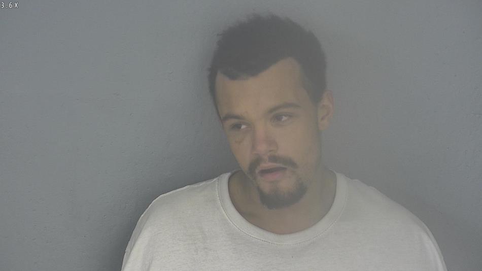 Arrest photo of DAVID LOPEZ