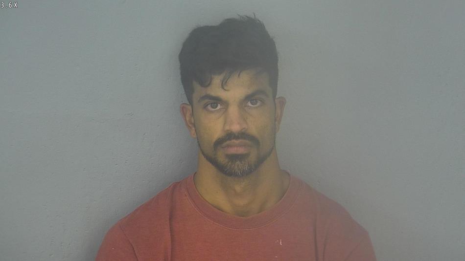 Arrest photo of DAVID RAO