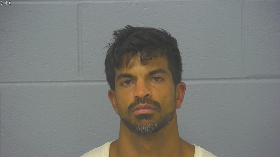 Arrest photo of DAVID RAO