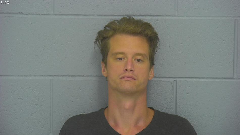 Arrest photo of DAVID GRADY
