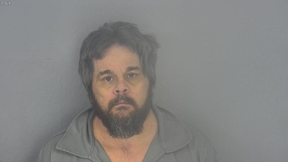 Arrest photo of DAVID ARNOLD