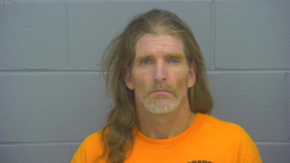 Arrest photo of DAVID LANDES