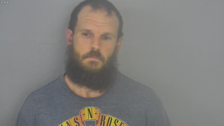 Arrest photo of DAVID WELLS