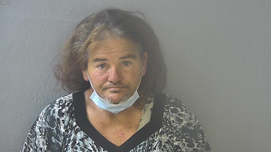 Arrest photo of DAWN POWER