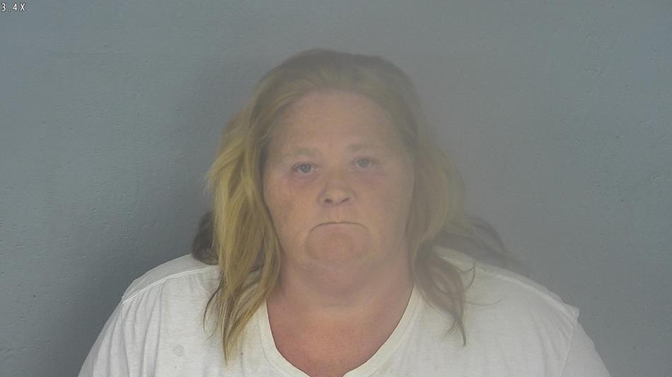 Arrest photo of DAWN SIKES