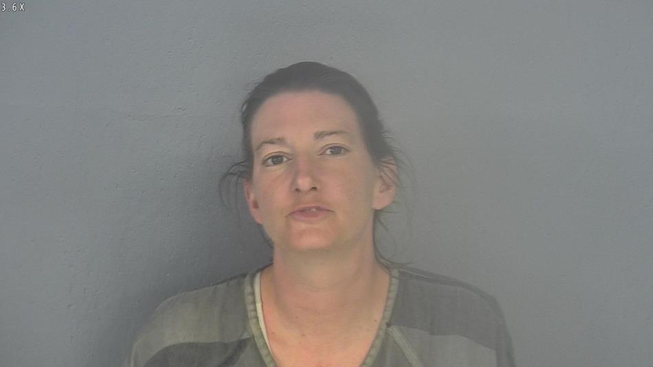 Arrest photo of DAWN FRIEND