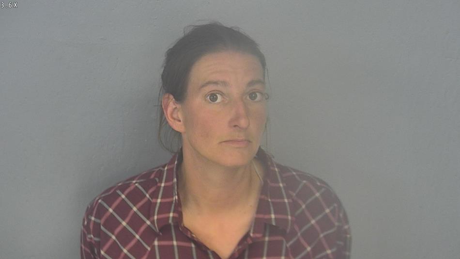 Arrest photo of DAWN FRIEND