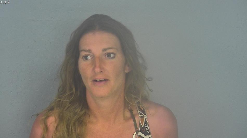 Arrest photo of DAWN FRIEND