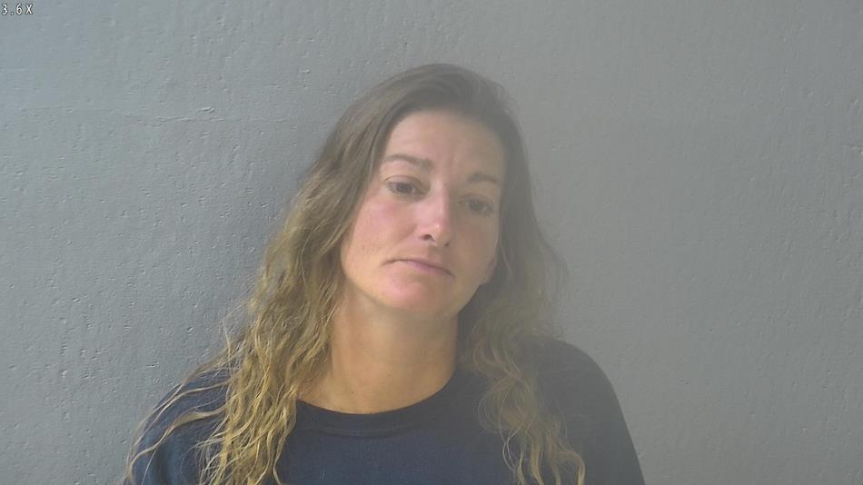 Arrest photo of DAWN FRIEND