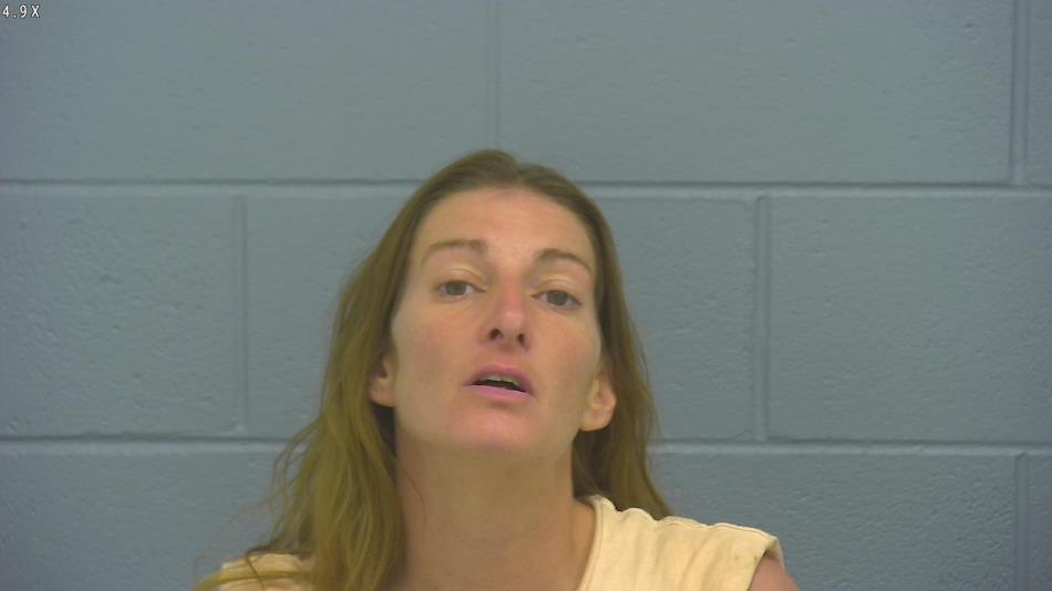 Arrest photo of DAWN FRIEND