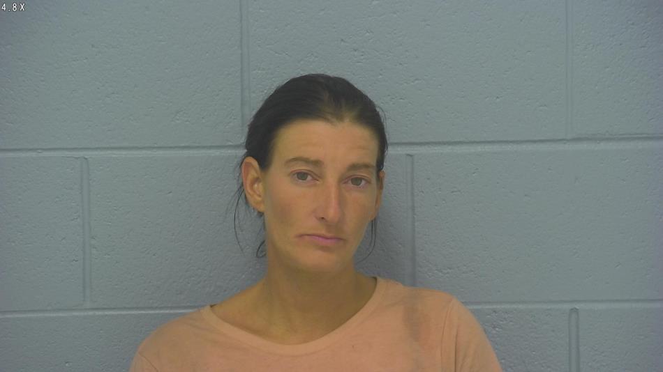 Arrest photo of DAWN FRIEND