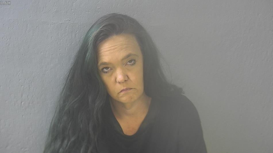 Arrest photo of DAWN THOMAS