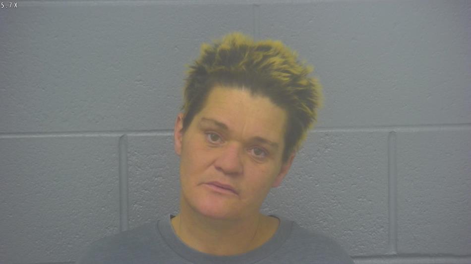 Arrest photo of DAWNDI CANDOW