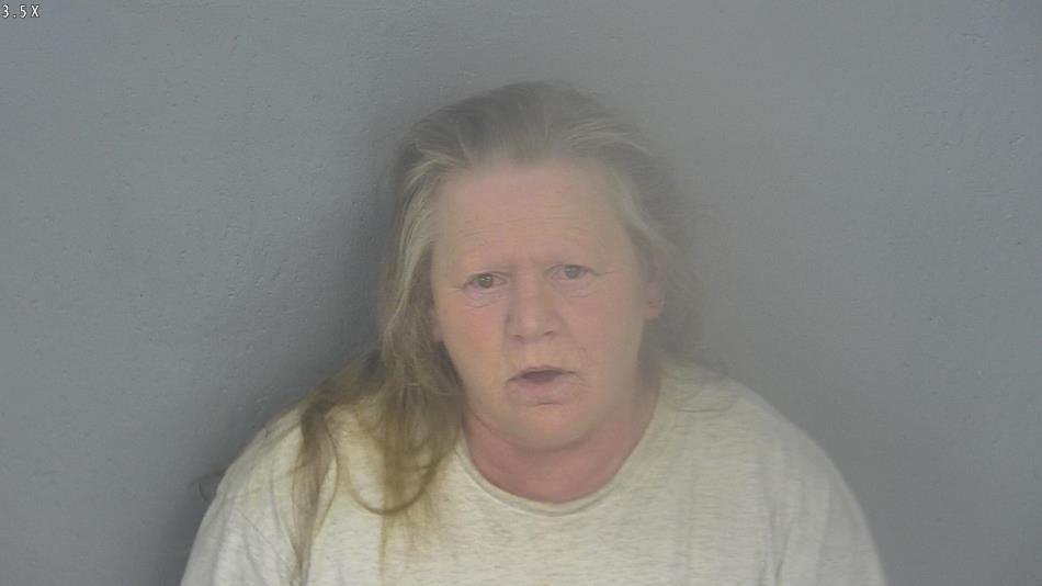 Arrest photo of DEANA BRAND
