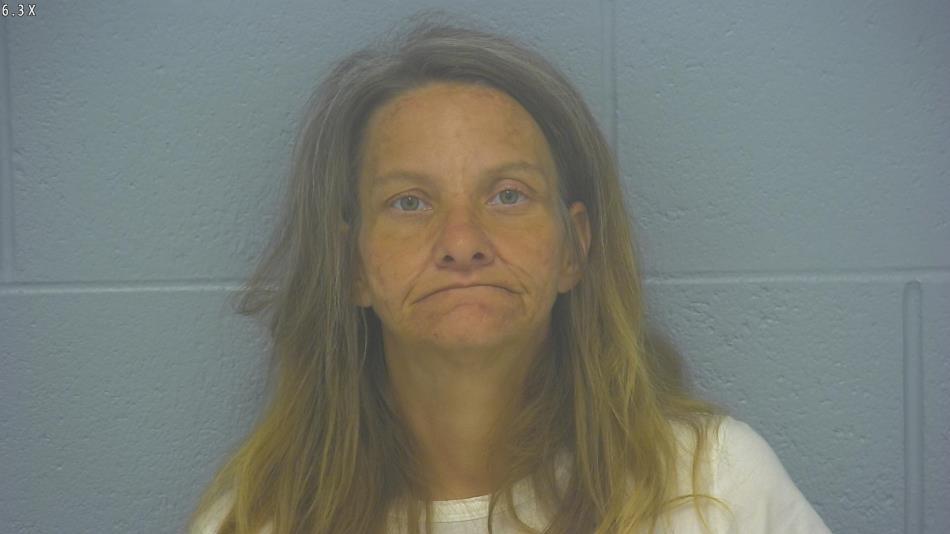 Arrest photo of DEANA MELTON