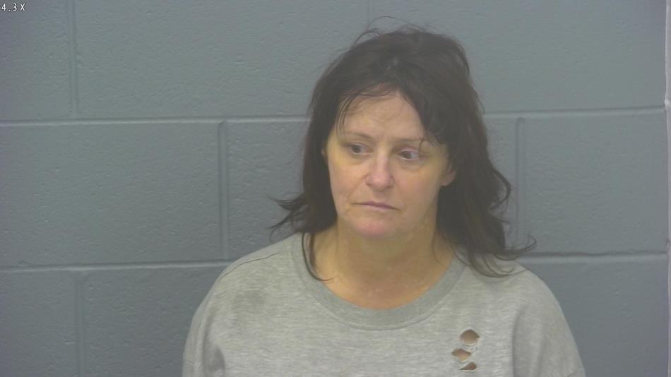 Arrest photo of DEANNA FRENCH