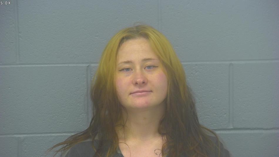 Arrest photo of DEANNA METZ