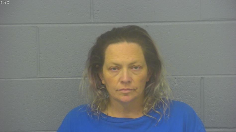 Arrest photo of DEBORAH BRIONES