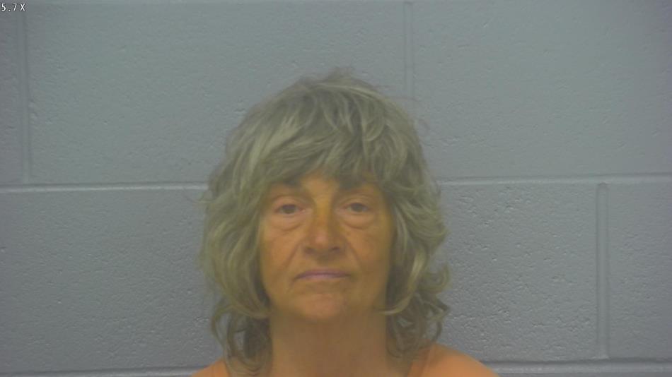 Arrest photo of DEBRA MARTIN-LOGUE