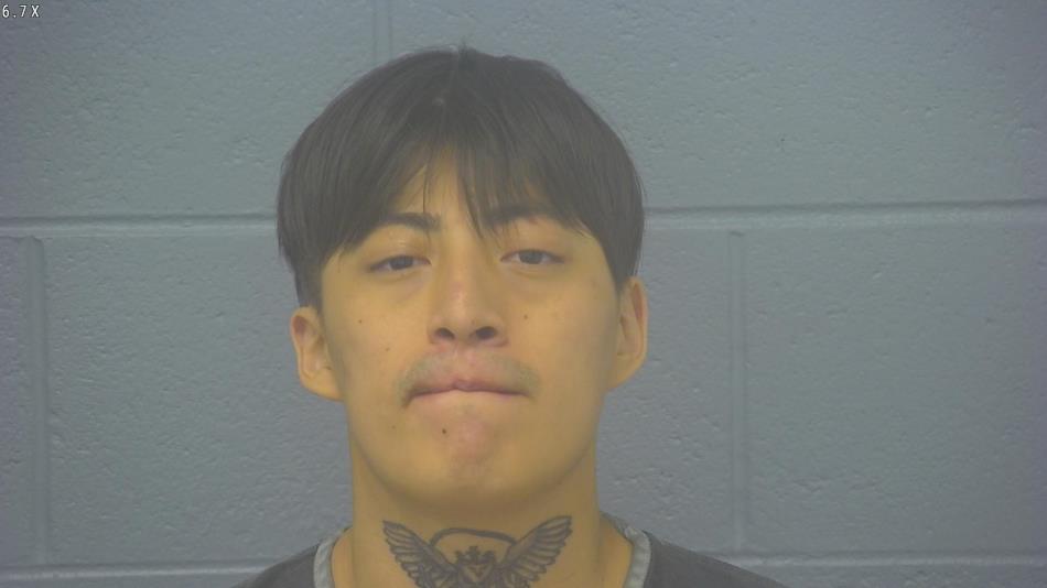 Arrest photo of DELBERT MOWITCH