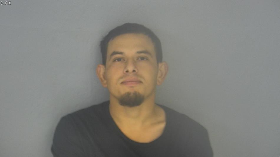 Arrest photo of DENIS LOPEZ-NATAREN