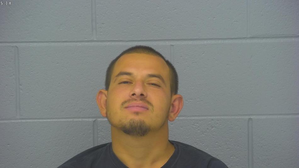 Arrest photo of DENIS LOPEZ-NATAREN